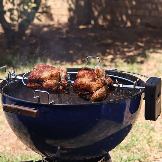 ROTISSERIE MOTOR 2 X 1.5V LKs